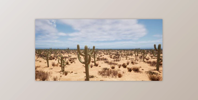 Create Realistic Game Cactus Optimized With Speedtree