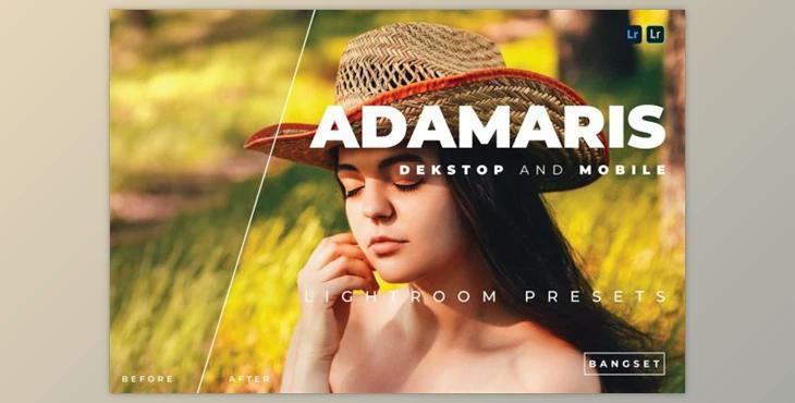 Adamaris Desktop and Mobile Lightroom Preset by Bangset