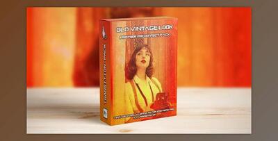 Old & Damaged Film Looks Overlay Effect (Videohive 48457779) - PR Project