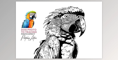 Animal Photo to Tracing - 92455981