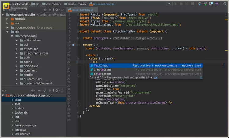 JetBrains WebStorm v2025.1 Build 251.23774.424 for Win & Linux & macOS1