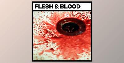 Big Room Sound Flesh and Blood