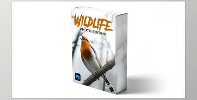 Zenja Gammer – Wildlife Photo Editing Course