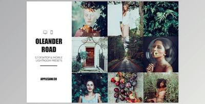 Oleander Road Lightroom Presets CreativeMarket-5270591