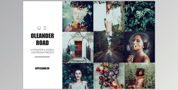 Oleander Road Lightroom Presets CreativeMarket-5270591