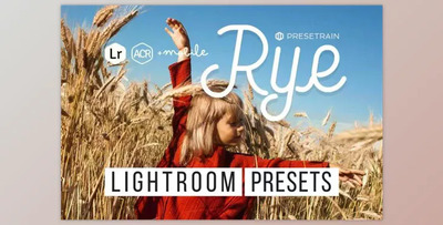 Rye Lightroom & ACR Presets By Presetrain Co (Mob, Desk)