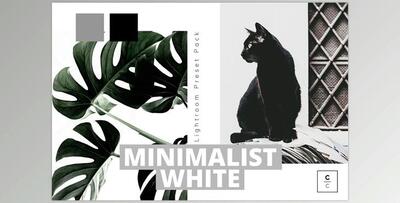 Minimalist White Lightroom Preset CreativeMarket-5978148 (XMP, DNG)