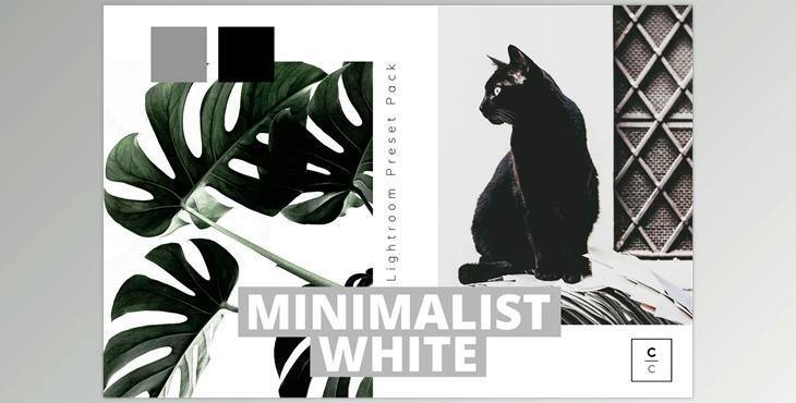 Minimalist White Lightroom Preset CreativeMarket-5978148 (XMP, DNG)