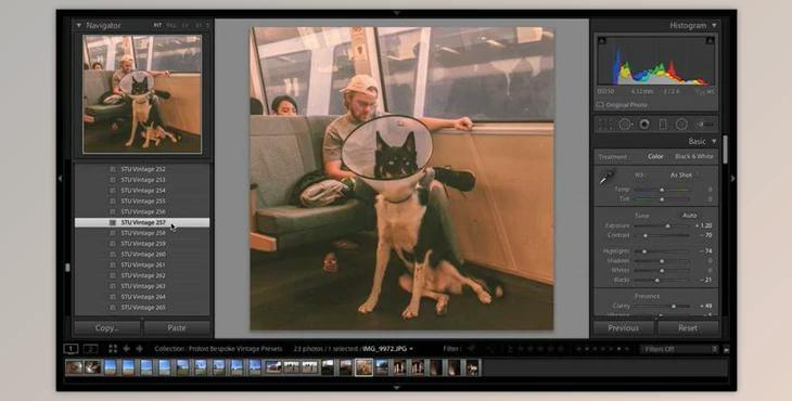 ProLost Vintage Preset