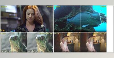 Neat Video Pro v5.6.5 for DaVinci Resolve (Ae, Pr)