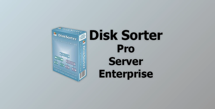 Disk Sorter Pro & Server & Enterprise v17.0.14 for win x64 & x86 + Activator
