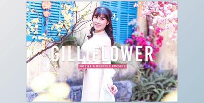 Gilliflower Pro Lightroom Presets CreativeMarket - 7178687