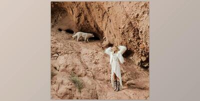 Mastin Labs - Portra Original Pack for Capture One Pro