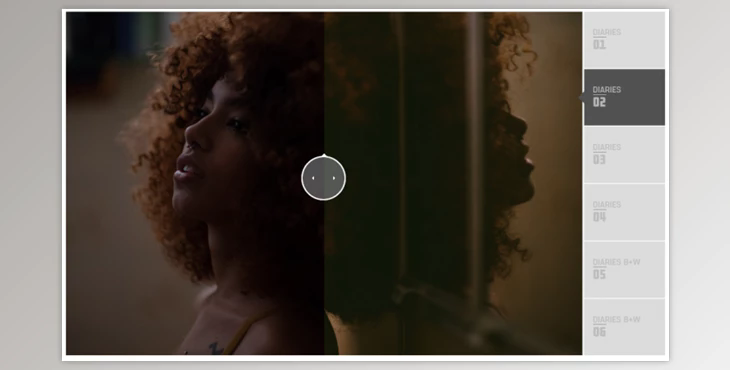 Dvlop – Diaries Presets by Joao Guedes