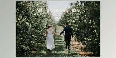 Vivid Presets – Art Collection I & II (Lrtemplate)
