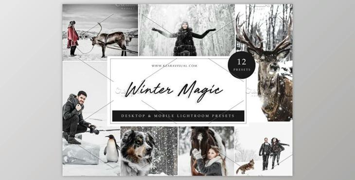 12 x Lightroom Presets, Winter Magic By Kzara Visual Concepts