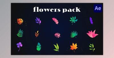 Colorful Flowers Pack for After Effects (Videohive 51999712) - AE Project