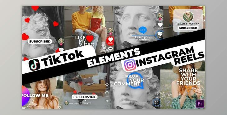 TikTok&Instagram Elements (Videohive 33947997) - PR Project