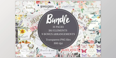 Massive Clipart Bundle CreativeMarket 698018