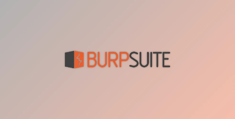 Burp Suite Professional v2025.3.2 + CRACK