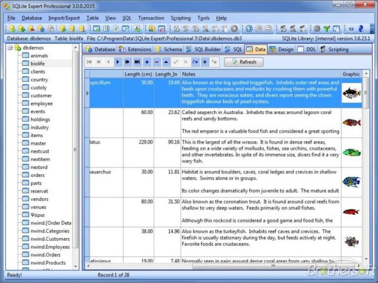 SQLite Expert Professional 5.5.35.646