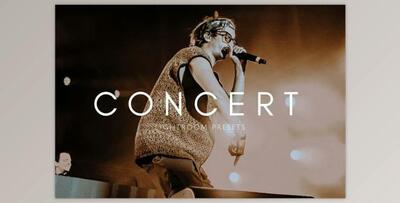 Cinematic Moody Concert LR Presets (lrtemplate, dng)