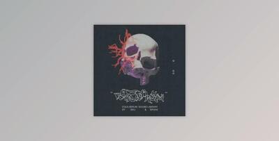 Bryanmelz Equilibrium Sound Bank