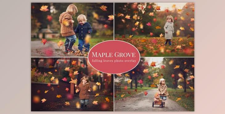 Maple Grove – falling leaves overlay (PSD, JPG)