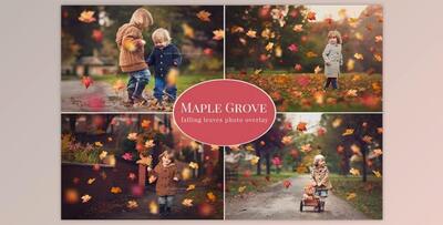 Maple Grove – falling leaves overlay (PSD, JPG)