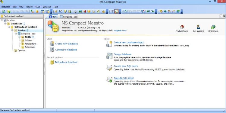 MS Compact Maestro 17.9.0.1 Multilingual