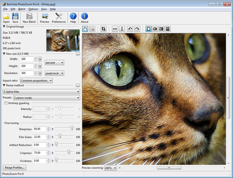 Benvista PhotoZoom Pro 9.0.2 Win/macOS + Plug-in