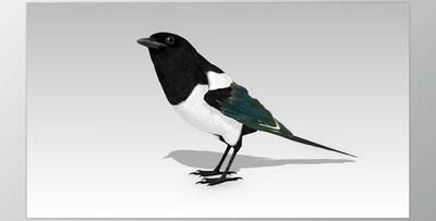 Unreal Engine - Magpie v5.1