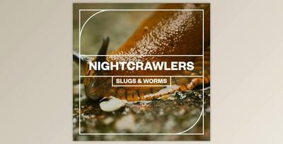Blastwave FX – Nightcrawlers Slugs and Worms