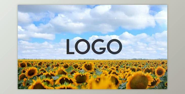 Sunflower Opener (Videohive 33348696) - AE Project