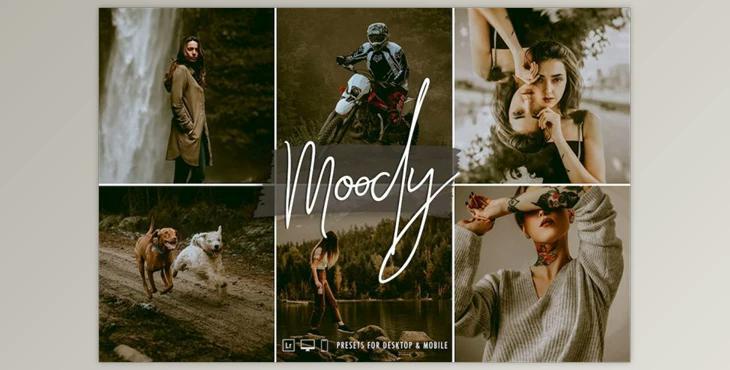 SignatureEdits – Moody Vibes Lightroom Collection