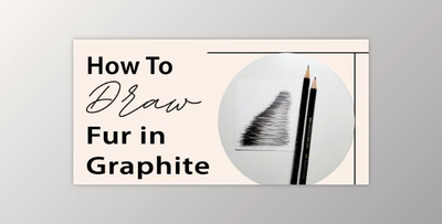 How to Draw Fur in Graphite