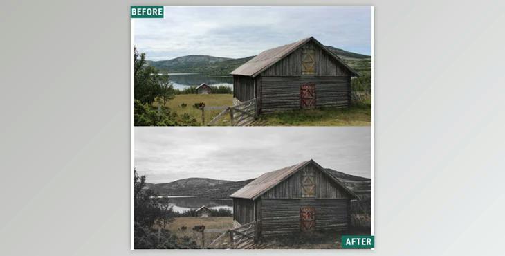 Woodland – Spooky Tones LIMITED Lightroom Presets Pack