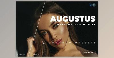 Augustus Desktop and Mobile Lightroom Preset by Bangset