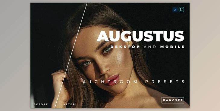 Augustus Desktop and Mobile Lightroom Preset by Bangset