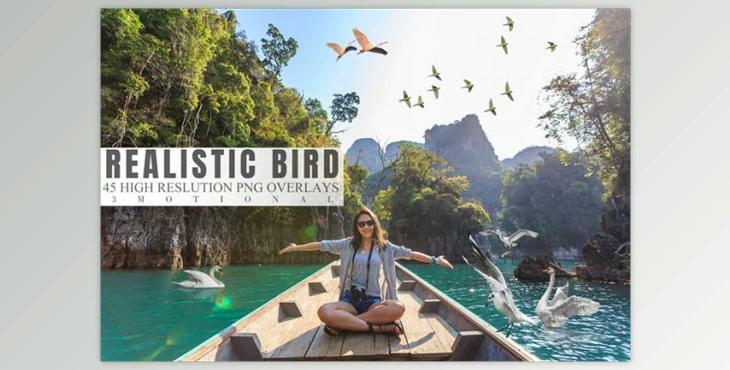 45 Realistic Bird Overlays (3motional)
