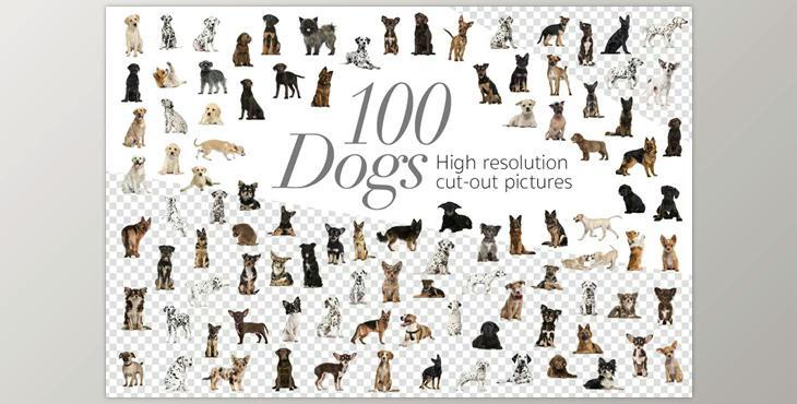 100 Dogs Bundle – Cut-out Pictures – CreativeMarket 2042414 (PNG)