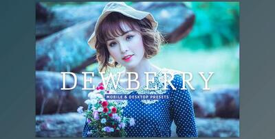 Dewberry Pro Lightroom Presets CreativeMarket - 7469785