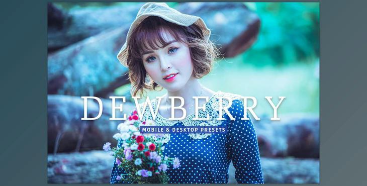 Dewberry Pro Lightroom Presets CreativeMarket - 7469785