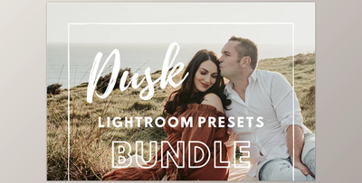 Dusk Lightroom Presets CreativeMarket - 6449991
