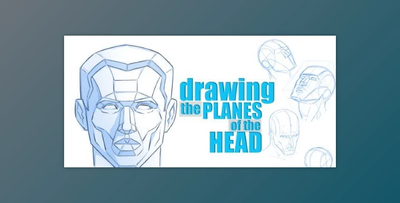 How to Draw the Planes of the Head