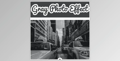 Gray Photo Effect by Strikin