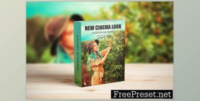 Steal Film Cinematic Look Lightroom Presets ALTDAEM