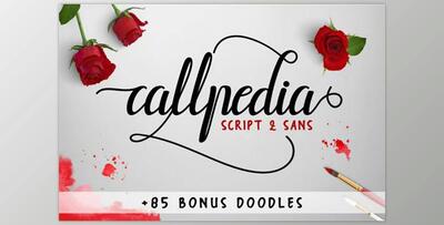 Callpedia 2 Styles + Bonus