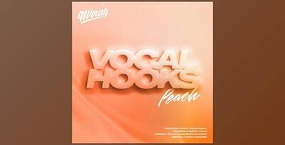 91Vocals Vocal Hooks Peach (WAV)