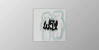 Whatever51 Stash Kit vol. 2 WAV FST Portal Presets